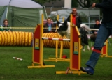 Fantom
Cyno Masters 18 oktober 2008
